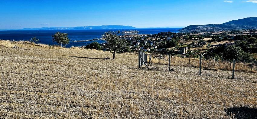 Hohe Gewinngarantie Für Alle, Die Dringend Kaufen Und Verkaufen Müssen – Aufgrund Von Bargeldbedarf.