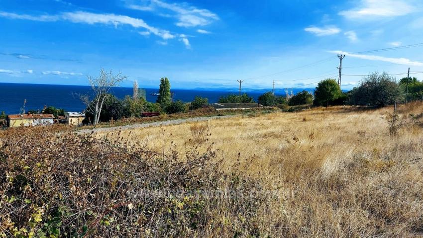 Triplex-Grundstücke Bieten Eine Großartige Gelegenheit Für Alle, Die Mit Geringem Kapital Ein Freistehendes Haus Bauen Möchten.