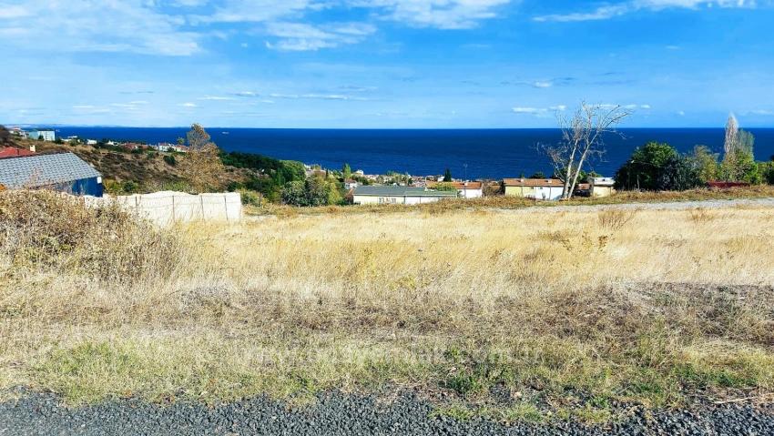 Triplex-Grundstücke Bieten Eine Großartige Gelegenheit Für Alle, Die Mit Geringem Kapital Ein Freistehendes Haus Bauen Möchten.