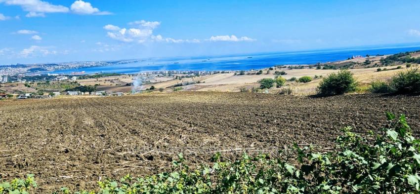 Grundstücksmöglichkeit, Geeignet Für 4 Luxusvillen Mit Uneingeschränktem Meerblick