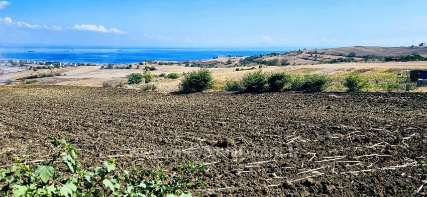 Grundstücksmöglichkeit, Geeignet Für 4 Luxusvillen Mit Uneingeschränktem Meerblick