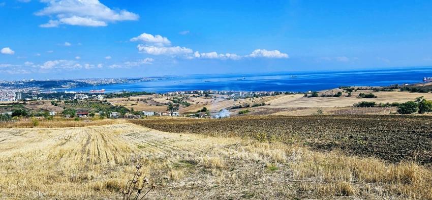 Grundstücksmöglichkeit, Geeignet Für 4 Luxusvillen Mit Uneingeschränktem Meerblick