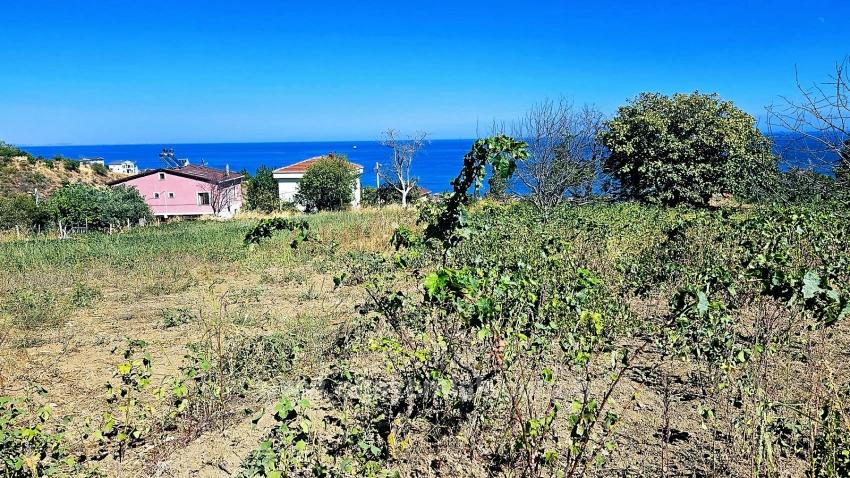 Tekirdağ Barbarosta 4 Seiten Straßenfassade Infrastruktur Bereit Genossenschaft Und Ort Geeignet Für Den Bau Von Baustellen