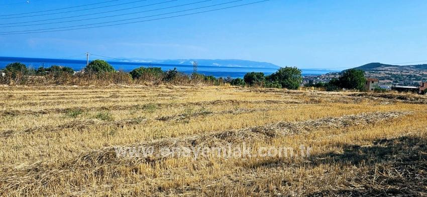 Feld Zu verkaufen in Barbaros Bz. Süleymanpaşa Kumbağ - Gehäuse-Zonierung - 8.500 m²