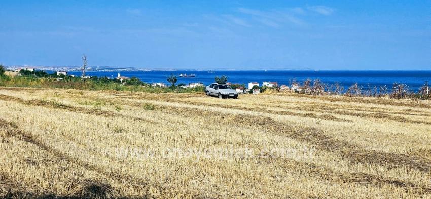 Feld Zu verkaufen in Barbaros Bz. Süleymanpaşa Kumbağ - Gehäuse-Zonierung - 8.500 m²
