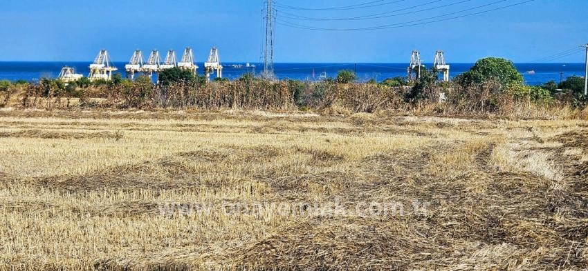 Feld Zu verkaufen in Barbaros Bz. Süleymanpaşa Kumbağ - Gehäuse-Zonierung - 8.500 m²