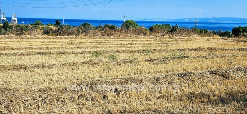 Feld Zu verkaufen in Barbaros Bz. Süleymanpaşa Kumbağ - Gehäuse-Zonierung - 8.500 m²