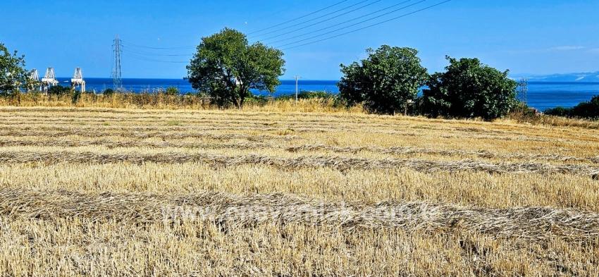 Feld Zu verkaufen in Barbaros Bz. Süleymanpaşa Kumbağ - Gehäuse-Zonierung - 8.500 m²