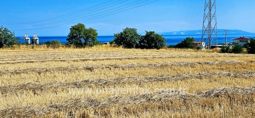 Feld Zu verkaufen in Barbaros Bz. Süleymanpaşa Kumbağ - Gehäuse-Zonierung - 8.500 m²