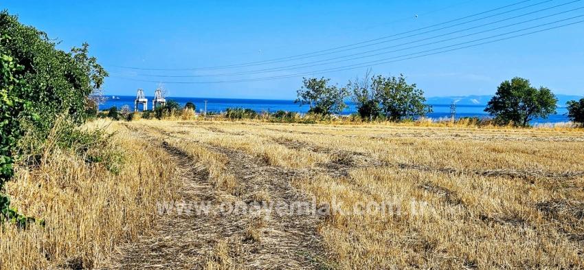 Feld Zu verkaufen in Barbaros Bz. Süleymanpaşa Kumbağ - Gehäuse-Zonierung - 8.500 m²