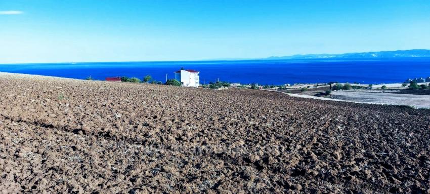 Schnäppchen-Coupon-Land Mit Vollem Meer- Und Naturblick Ist Im Vergleich Zu Seinen Vergleichsobjekten Sehr Erschwinglich