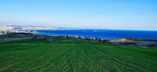 Grundstück Mit Freiem Meer- Und Naturblick, Geeignet Für Ein Villenprojekt Mit 75 Villen In Tekirdağ Barbarosta