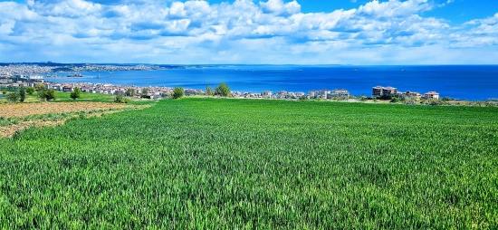 Möglichkeit Zum Bau Von 44 2+1-wohnungen Mit Vollem Meerblick, Geeignet Für Genossenschafts- Und Einzelbau.