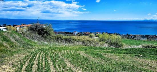 15 Luxuriöse Villen Mit Einzigartigem Panoramablick Auf Meer Und Natur, Gelegen In Einer Für Das Projekt Geeigneten Gegend.