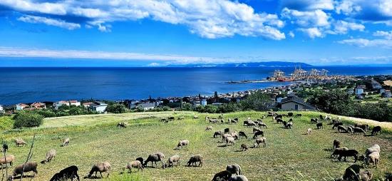 15 Luxuriöse Villen Mit Einzigartigem Panoramablick Auf Meer Und Natur, Gelegen In Einer Für Das Projekt Geeigneten Gegend.