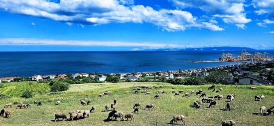 15 Luxuriöse Villen Mit Einzigartigem Panoramablick Auf Meer Und Natur, Gelegen In Einer Für Das Projekt Geeigneten Gegend.