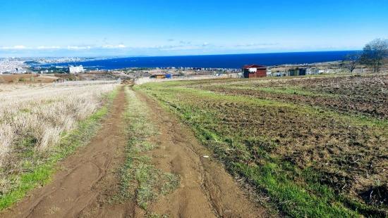 32 Luxusvillen Mit Herrlichem Meer-, Natur- Und Stadtblick, Für Das Projekt Geeignetes Grundstück