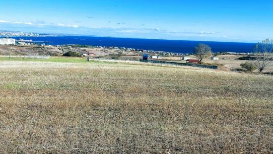 32 Luxusvillen Mit Herrlichem Meer-, Natur- Und Stadtblick, Für Das Projekt Geeignetes Grundstück