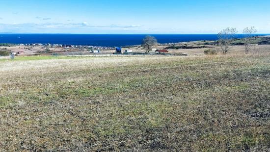 32 Luxusvillen Mit Herrlichem Meer-, Natur- Und Stadtblick, Für Das Projekt Geeignetes Grundstück