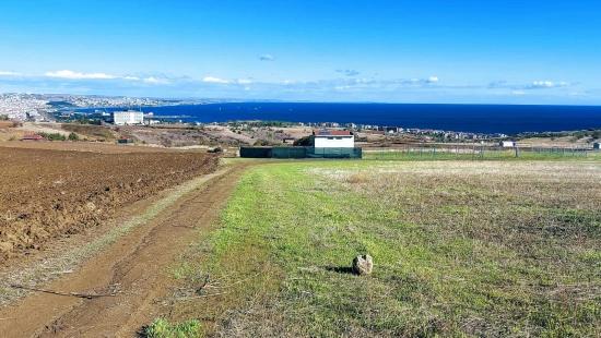 32 Luxusvillen Mit Herrlichem Meer-, Natur- Und Stadtblick, Für Das Projekt Geeignetes Grundstück