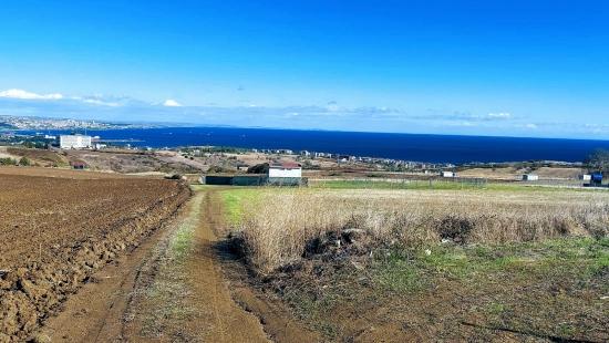 32 Luxusvillen Mit Herrlichem Meer-, Natur- Und Stadtblick, Für Das Projekt Geeignetes Grundstück