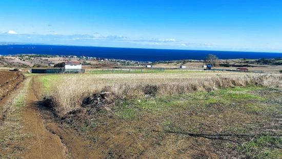 32 Luxusvillen Mit Herrlichem Meer-, Natur- Und Stadtblick, Für Das Projekt Geeignetes Grundstück