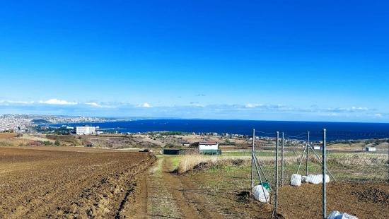 32 Luxusvillen Mit Herrlichem Meer-, Natur- Und Stadtblick, Für Das Projekt Geeignetes Grundstück