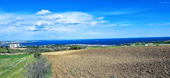 32 Luxusvillen Mit Herrlichem Meer-, Natur- Und Stadtblick, Für Das Projekt Geeignetes Grundstück