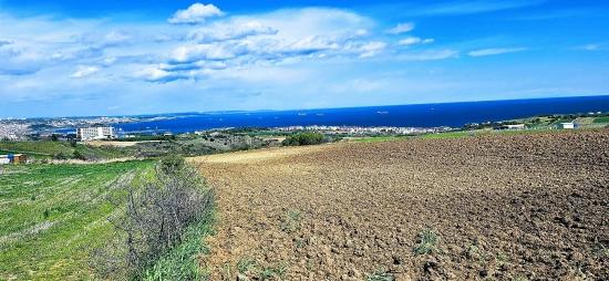 32 Luxusvillen Mit Herrlichem Meer-, Natur- Und Stadtblick, Für Das Projekt Geeignetes Grundstück