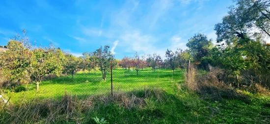 Für Das Abgetrennte Grundstück Besteht Kein Eigentumsanteil. Picknicks Und Grillfeste Sind An Wochenenden Nicht Gestattet.