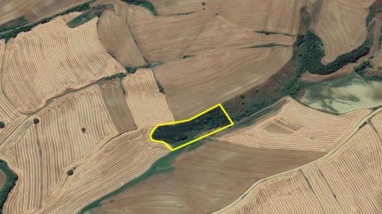 Eine Einmalige Investitionsmöglichkeit: 8.100 M² Schnäppchenland Im Stadtteil Oruç Beyli Von Tekirdağ.