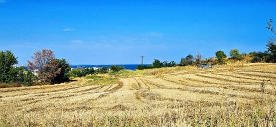 615 M² Großes Eckgrundstück Zum Schnäppchenpreis In Der Nähe Des Flughafens