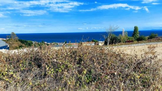 Triplex-Grundstücke Bieten Eine Großartige Gelegenheit Für Alle, Die Mit Geringem Kapital Ein Freistehendes Haus Bauen Möchten.