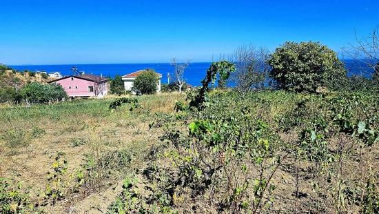 Tekirdağ Barbarosta 4 Seiten Straßenfassade Infrastruktur Bereit Genossenschaft Und Ort Geeignet Für Den Bau Von Baustellen