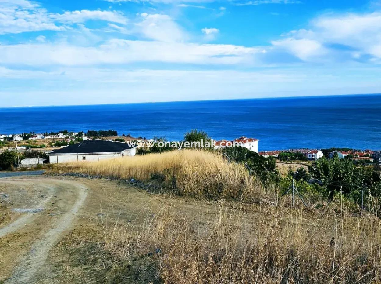 3.300 M2 Nettogrundstück, Das Für Den Bau Eines Genossenschaftsgeländes Mit Vollem Meerblick Zum Dringenden Verkauf In Tekirdag Barbarosta Geeignet Ist