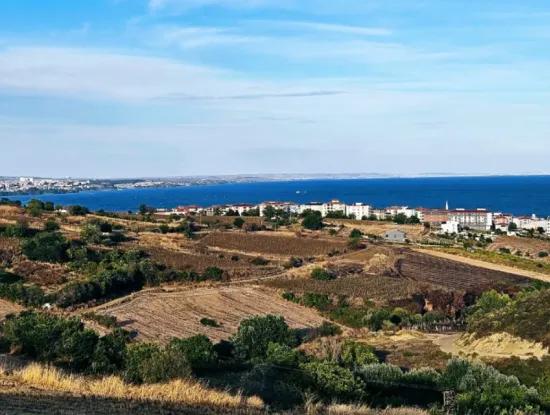 1.150 M² Großes Grundstück In Der Nähe Des Ramada Hotels In Tekirdag Suleymanpasa Barbaros - Topagac