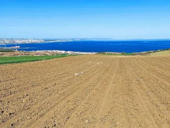 Tekirdag Barbarosta Luxusvilla Projekt Yap. Geben Sie Den Bauunternehmern Eine Wohnung Und Bauen Sie Eine Gewinnbringende Villa Mit Vollem Meerblick