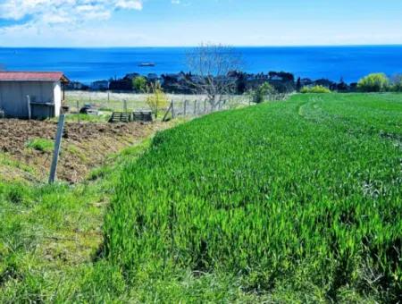 Bewerben Sie Sich Für Ein Luxusprojekt Zum Dringenden Verkauf In Tekirdag Barbarosta Bauen Sie Einen Wunderschönen Genossenschaftsstandort Mit Vollem Blick Auf Das Meer Und Die Natur. Garantie Für Hohe Gewinne