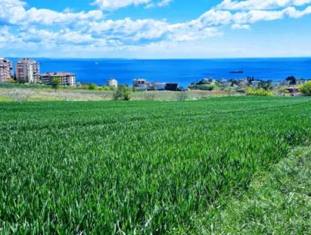 Bewerben Sie Sich Für Ein Luxusprojekt Zum Dringenden Verkauf In Tekirdag Barbarosta Bauen Sie Einen Wunderschönen Genossenschaftsstandort Mit Vollem Blick Auf Das Meer Und Die Natur. Garantie Für Hohe Gewinne