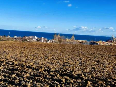 Einzigartiges 17.800 M2 Großes Wohngebiet In Der Gegend Von Süleymanpaşa Barbaros In Tekirdağ