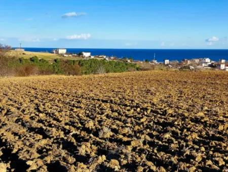 Einzigartiges 17.800 M2 Großes Wohngebiet In Der Gegend Von Süleymanpaşa Barbaros In Tekirdağ