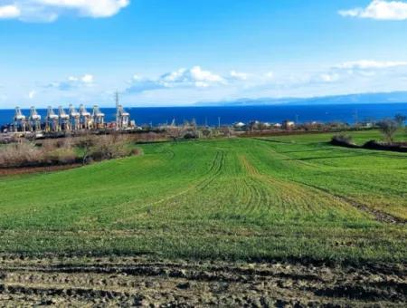 17 980 M2 Feld Zum Verkauf In Der Nähe Des Hafens Von Tekirdag Barbaros Asyaport