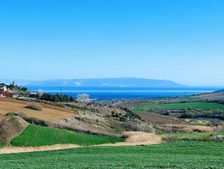 Grundstück Zum Verkauf Auf 19.500 Quadratmetern Gewerbe- Und Industriegebiet Im Nusuratlı-Gebiet Von Tekirdağ