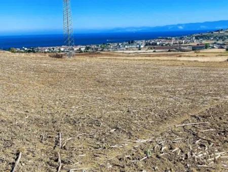 Das 21.900 M2 Große Grundstück In Tekirdağ Barbaros Befindet Sich Innerhalb Des Aktuellen Bebauungsplans Von Asyaport Port