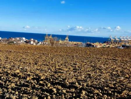 17.100 M2 Wohngebiet Mit Herrlicher Aussicht, In Der Nähe Des Hafens Tekirdağ Barbaros Asyaport