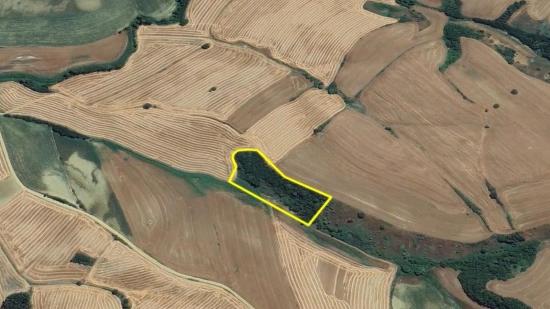 Eine Einmalige Investitionsmöglichkeit: 8.100 M² Schnäppchenland Im Stadtteil Oruç Beyli Von Tekirdağ.
