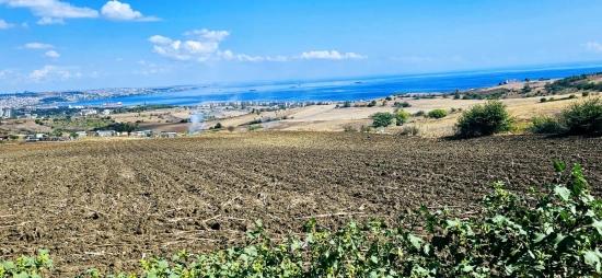 Grundstücksmöglichkeit, Geeignet Für 4 Luxusvillen Mit Uneingeschränktem Meerblick