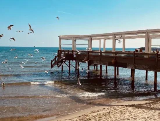 Kumbağ Fish Restaurants