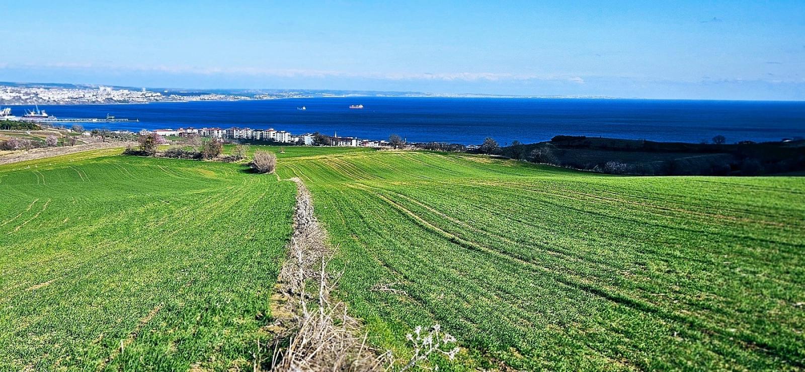 Land With Full Sea And Nature View Suitable For 75 Villa Projects In Tekirdağ Barbarosta