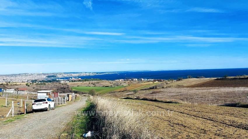 Bargain Plot Of Land With Full Sea, Nature And City Views, Zoned For 20% Two-Story Construction.
